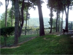 Fenced Dog Run