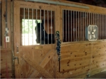 Four-Stall Horse Barn