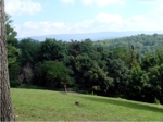 Views of the Blue Ridge Mountains